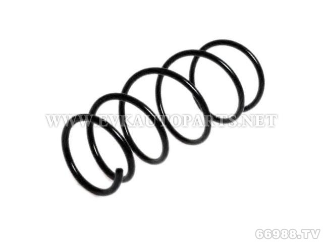 伊偉科EVK圈狀彈簧 Coil Spring Front Axle