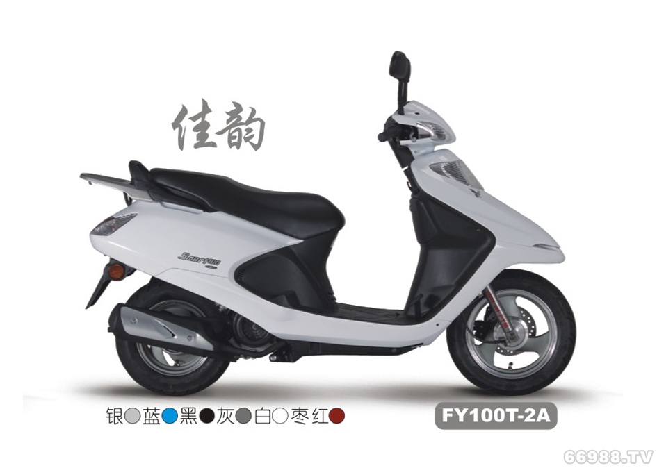 飛鷹FY100T-2A佳韻摩托車(chē)踏板車(chē)